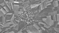 olšina 1946 Olšina